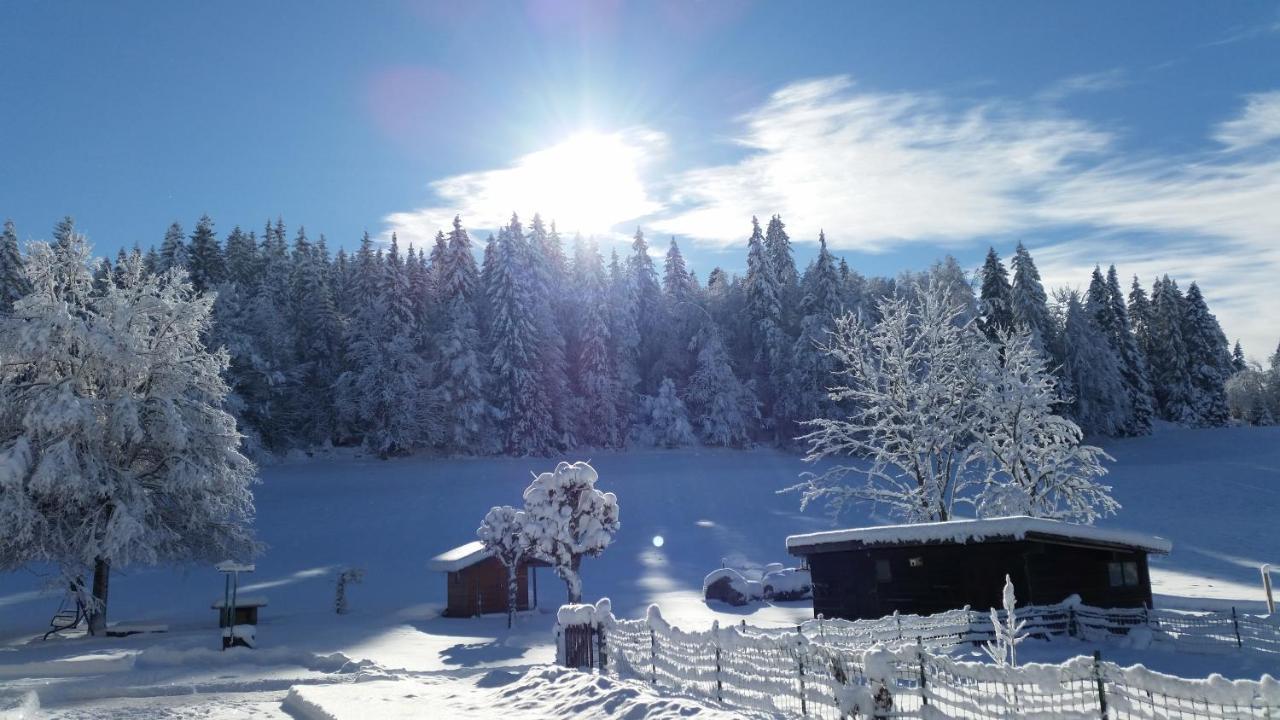 Mv Vacances Les Rousses Exteriör bild